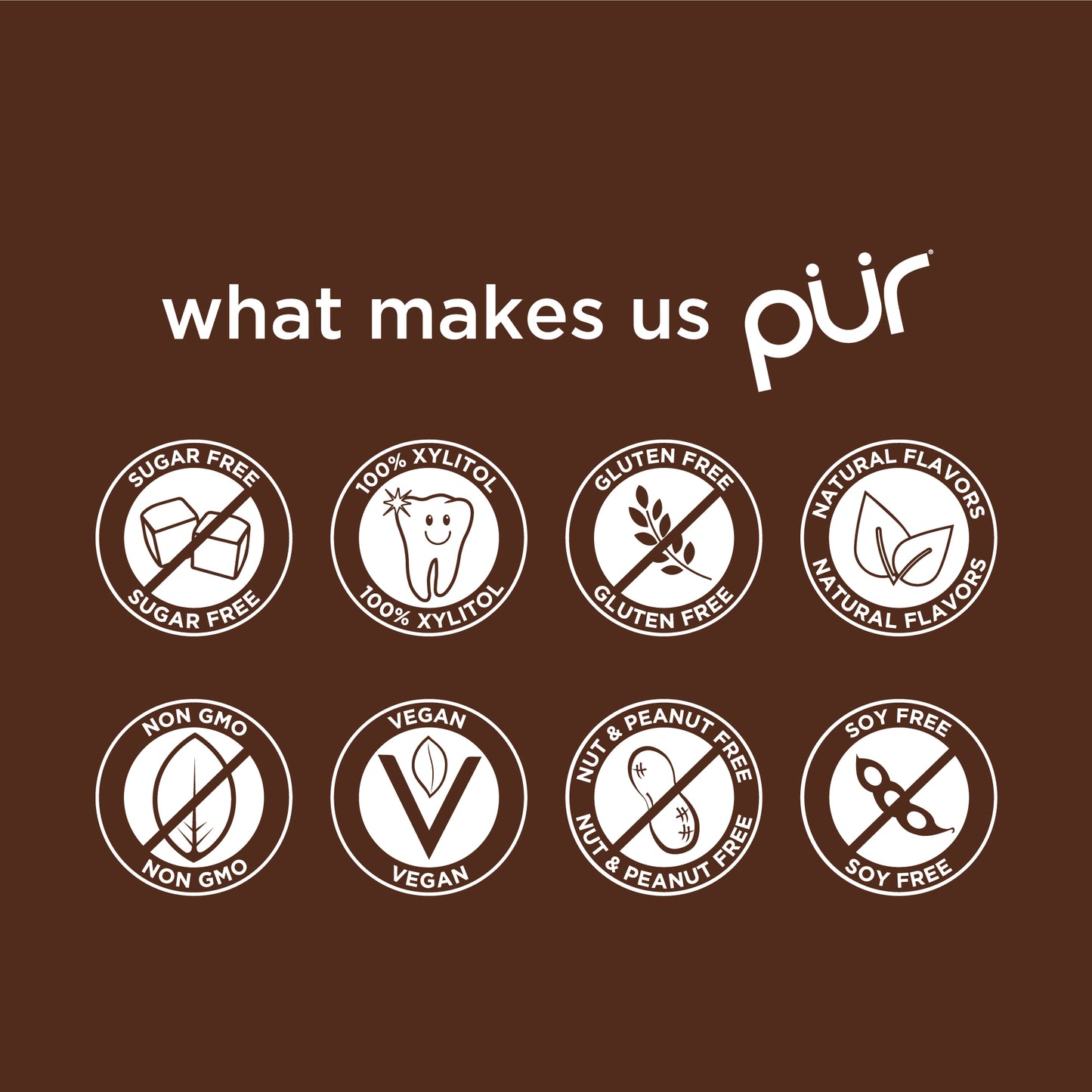 PUR Chocolate Mint Gum – The PUR Company